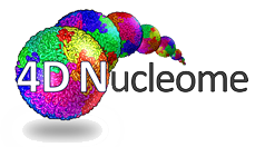 4D Nucleome Web Portal